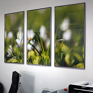 Картины с цветами в офисе и кабинете