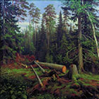 Картина Рубка леса, 1867 Иван Иванович Шишкин
