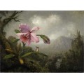 Картина Пейзаж с орхидеей и колибри - Хед, Мартин Джонсон