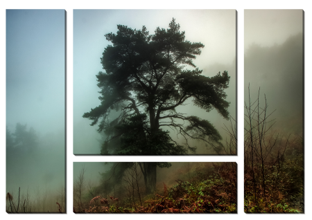 Дерево в тумане_2