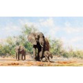 Слон и слонята - Шеперд, Девид (20 век)