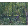 Деревья и подлесок (Trees and Undergrowth), 1887 лето - Гог, Винсент ван