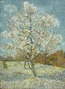 Персиковые деревья в цвету - Гог, Винсент ван