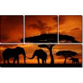 Слоны на закате - Сток