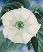 Дурман, белый цветок - О'Кифф, Джорджия