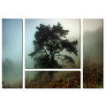 Дерево в тумане_2