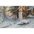 Зимний лесной пейзаж в солнечном свете - Морас, Вальтер