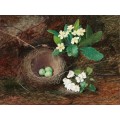 Гнездо дрозда, первоцветы и цветущая груша - Гримшоу, Джон Аткинсон