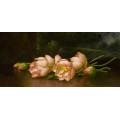 Цветки лотоса - Хед, Мартин Джонсон