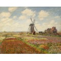 Поле тюльпанов в Голландии, 1886 - Моне, Клод
