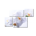 Модульная картина Белые орхидеи