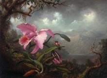 Орхидея и колибри - Хед, Мартин Джонсон