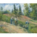 Урожай, Понтуаз, 1880 - Писсарро, Камиль