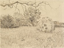 Парк с  кустарником (Park with Shrub), 1888 - Гог, Винсент ван