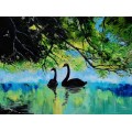 Лебеди на воде - Сток