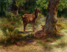Олень и олененок в лесу - Бонёр, Роза