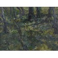 Подлесок с ивами (Undergrowth with Ivy), 1889 - Гог, Винсент ван