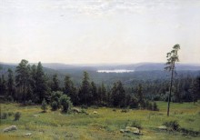 Лесные дали, 1884 - Шишкин, Иван Иванович