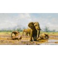 Слоны на водопое - Шеперд, Девид (20 век)