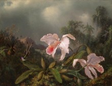 Картина Орхидея и колибри в джунглях - Хед, Мартин Джонсон