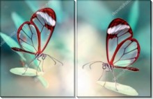 Стеклянные бабочки - Сток