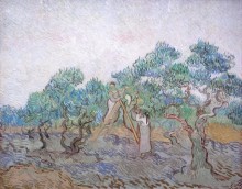Сбор оливок (Olive Picking), 1889 - Гог, Винсент ван
