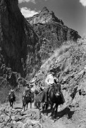 Поезлка на мулах в Гранд-Каньоне - Гендро, Филипп