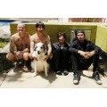 Red Hot Chili Peppers_12