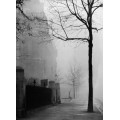 Улица туманного Лондона - Хоппе, Е.О.