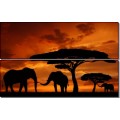 Слоны на закате - Сток