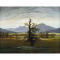 Одинокое дерево - Фридрих, Каспар Давид