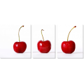 Модульная картина «Три вишни»