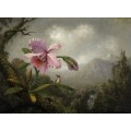 Картина Орхидея и колибри у водопада - Хед, Мартин Джонсон