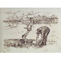 Садовник у яблони (Gardener by an Apple Tree), 1883 - Гог, Винсент ван