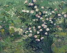 Розовый куст в цвету (Rosebush in Blossom), 1889 - Гог, Винсент ван