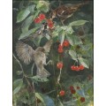 Картина «Воробьи на вишневых ветках» - Лильефорс, Бруно
