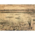 Болото с водяными лилиями (A Marsh with Water Lillies), 1881 - Гог, Винсент ван
