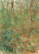 Лисица в засаде - Лильефорс, Бруно