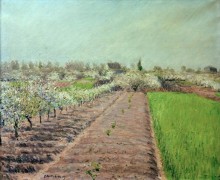 Цветущие яблони, холм Коломб - Кайботт, Густав