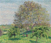 Большой орех весной,Эрани, 1894 - Писсарро, Камиль