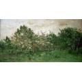 Луг с цветущими фруктовыми деревьями - Добиньи, Шарль-Франсуа 