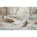 Фазаны и камышницы на снегу - Доннер, Карл (20 век)