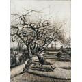 Сад приходского священника зимой (The Parsonage Garden at Nuenen in Winter), 1884 - Гог, Винсент ван