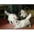 Три белых ангорских котенка - Хайер, Артур