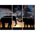 Слоны Африки - Сток