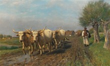 Венгерский крестьянин с бычьей упряжкой - Торен, Отто фон