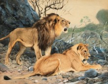 Лев и львица в ожидании - Кунерт, Вильгельм