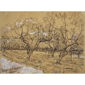 Сад в Провансе (Provencial Orchard), 1888 - Гог, Винсент ван