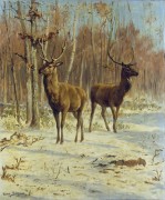 Два оленя на опушке зимнего леса - Бонёр, Роза