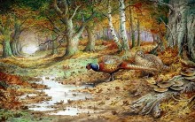 Два фазана и ложноопята - Доннер, Карл (20 век)